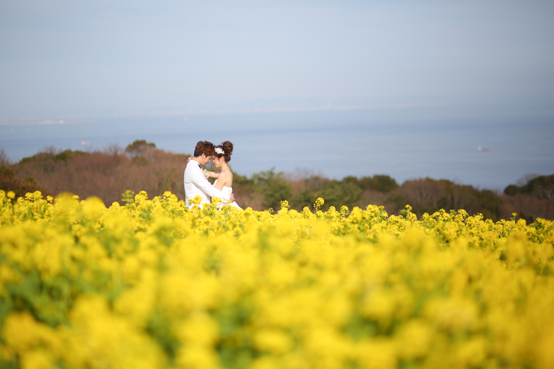 菜の花畑♡