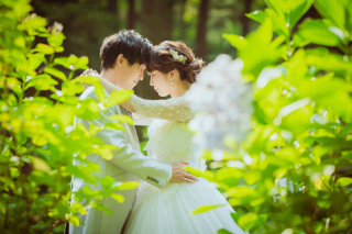 【洋装1点・ナイト付き】大自然の中で癒される♡ナイト撮影も付いて大満足な１日♡♡