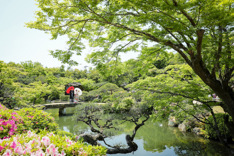 新緑とお花がとっても綺麗！！