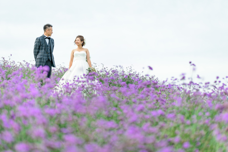 パープルのバーベナに囲まれて。