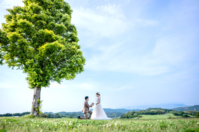 広々とした自然の中でロマンチックにプロポーズ♡♡