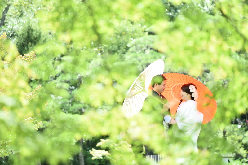 木漏れ日の中に埋もれて。。