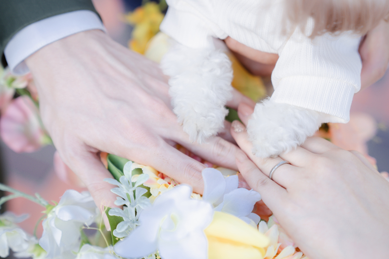 大切な家族の一員と思い出の1枚を♡