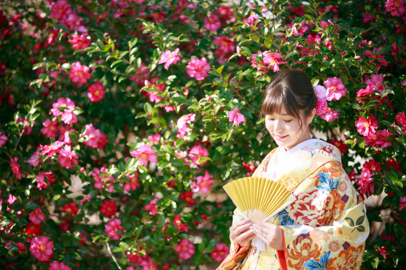 撮影スポット画像