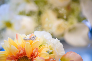 女性カメラマンならではの気遣い・視点でお写真撮影します！