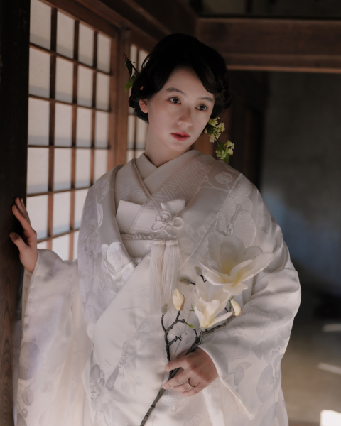 白無垢胡蝶蘭