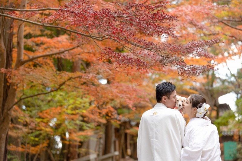 ~油山寺ロケーション~