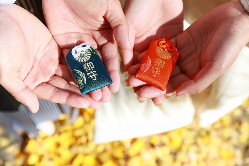 イチョウの絨毯と一緒に