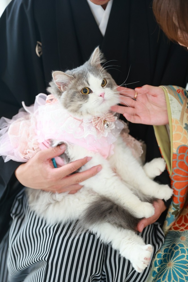 ねこちゃんもきてました!!