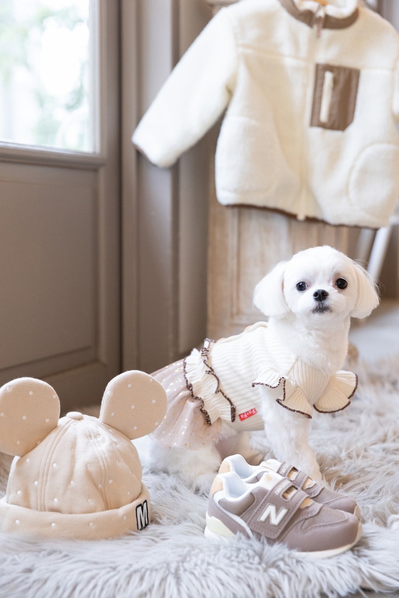 持ち込みアイテムとわんちゃん