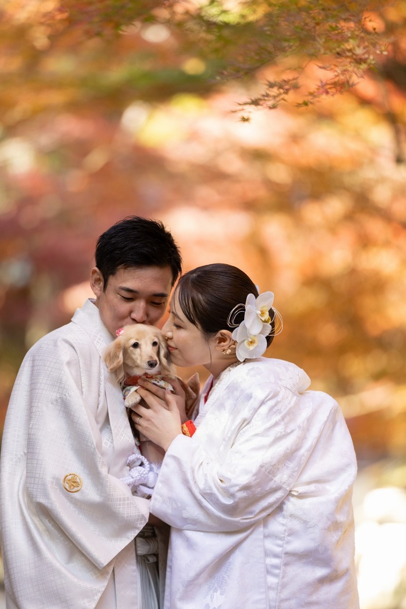 紅葉と愛犬と...♡