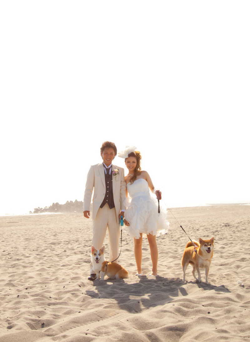 秋でも紅葉だけでなく、砂丘でのドレス写真も素敵！