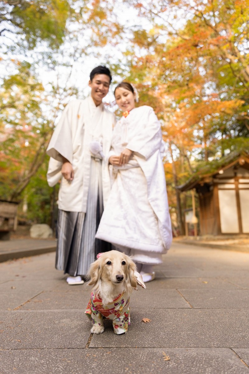 ~油山寺ロケーション~