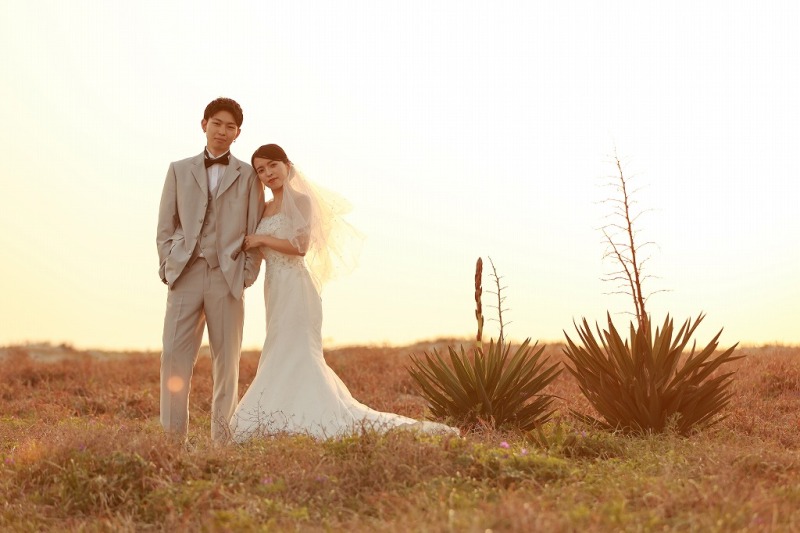 夕暮れ時の草原にて。