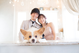 大好きな愛犬とフォトウエディング。
