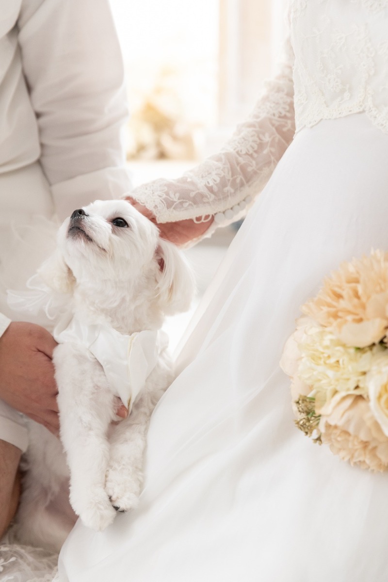 お揃いのお洋服で