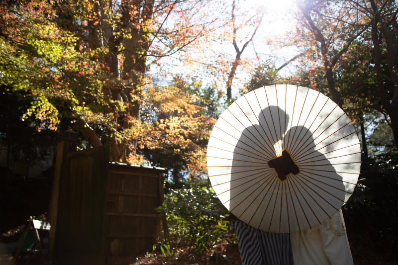 天気が良ければ、傘でのシルエット写真も撮れます!