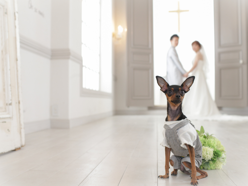 Bonfleur Wedding(ボンフルールウェディング)_ペットと一緒に撮影できる