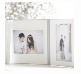 2面台紙アルバム2Lサイズ