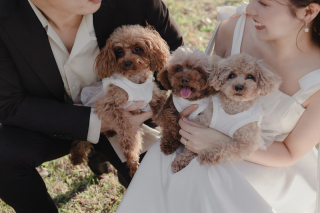 Bonfleur Wedding(ボンフルールウェディング)_ペットロケーション撮影