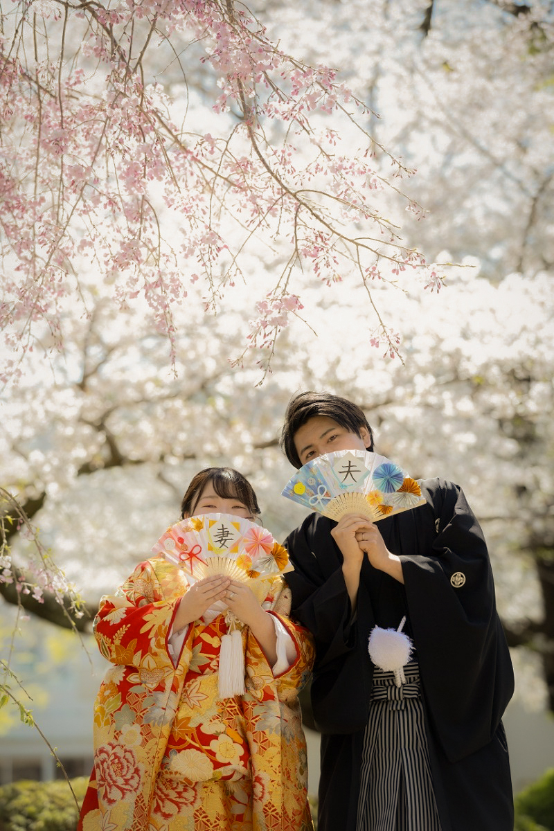 【春満開】桜ロケーションフォトプラン！　～衣装ランクアップが無料！！～