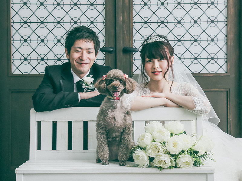 ペットと一緒に撮影できる らかんスタジオ立川店 Photorait