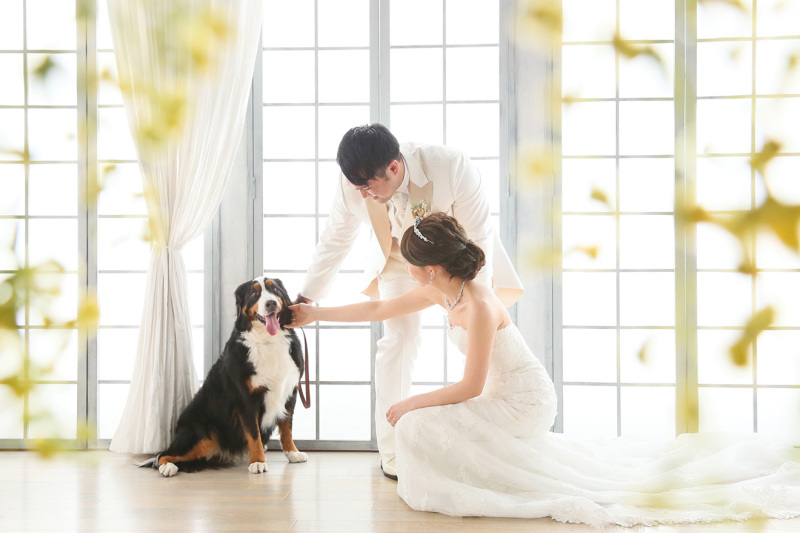 らかんスタジオ立川店_ペットと一緒に撮影できる