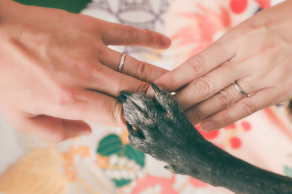 らかんスタジオ立川店