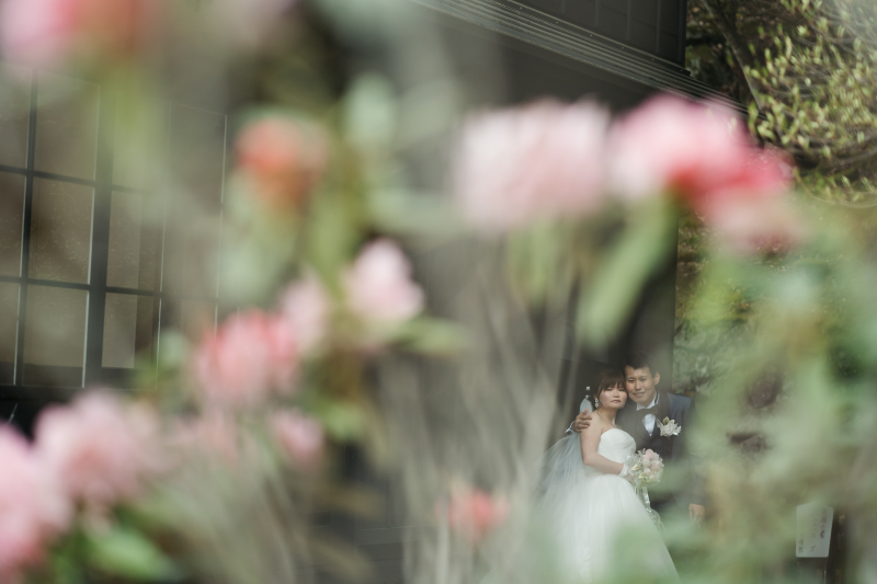 お花の間を覗いたら・・・