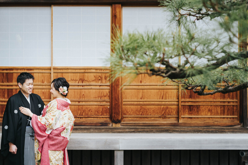 寒い冬でも「緑」を保ち、階級は最上級