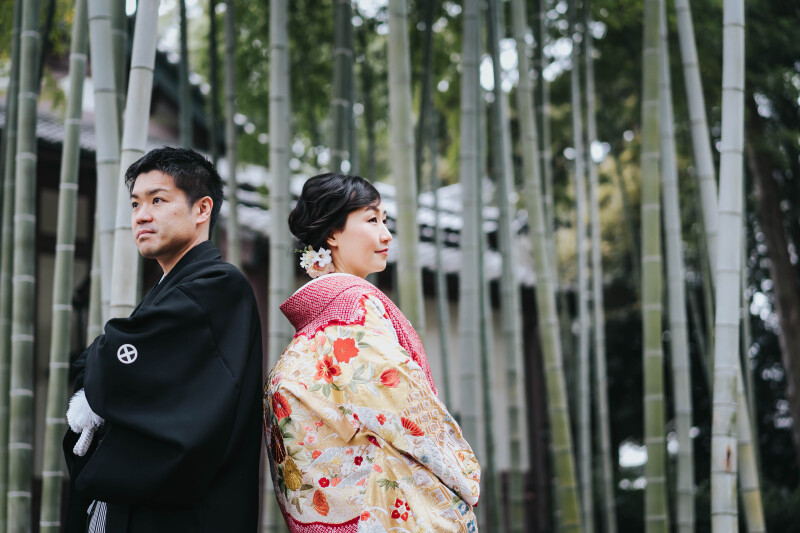 上へ上へとまっすぐ伸び、階級はちょうど真ん中