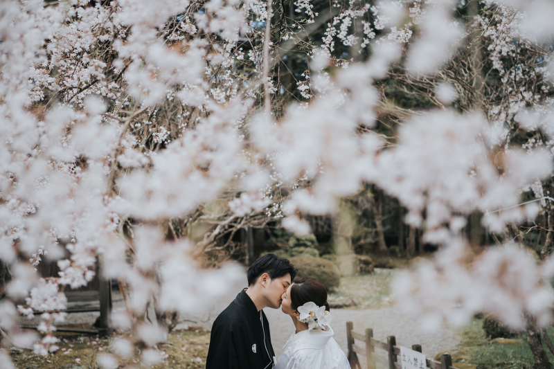 お互いのキモチを確かめ合える桜の中のおふたり