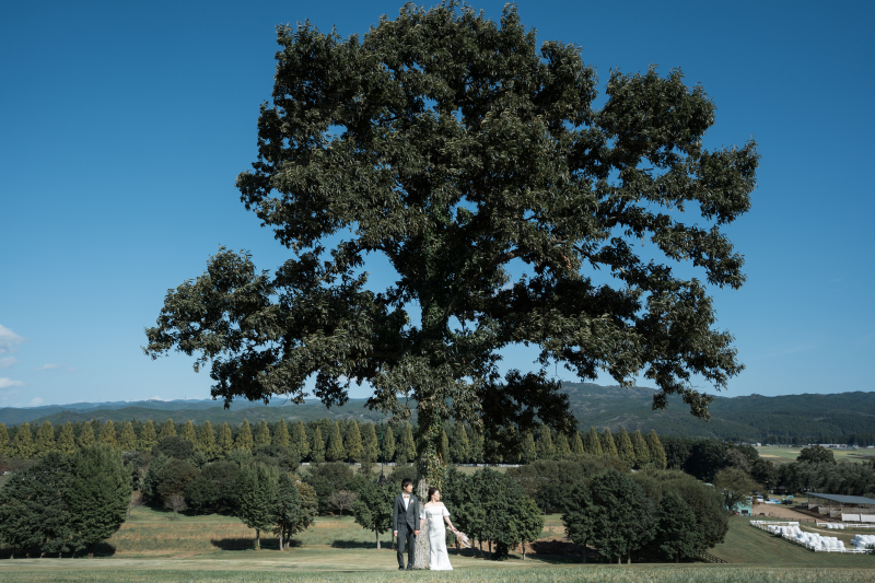 自由度の高いロケーション