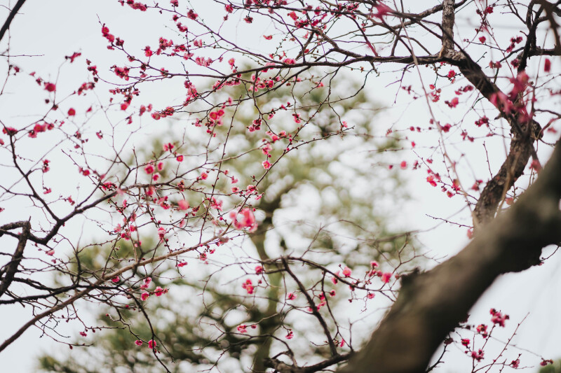 敷地内には沢山のフォトスポット！