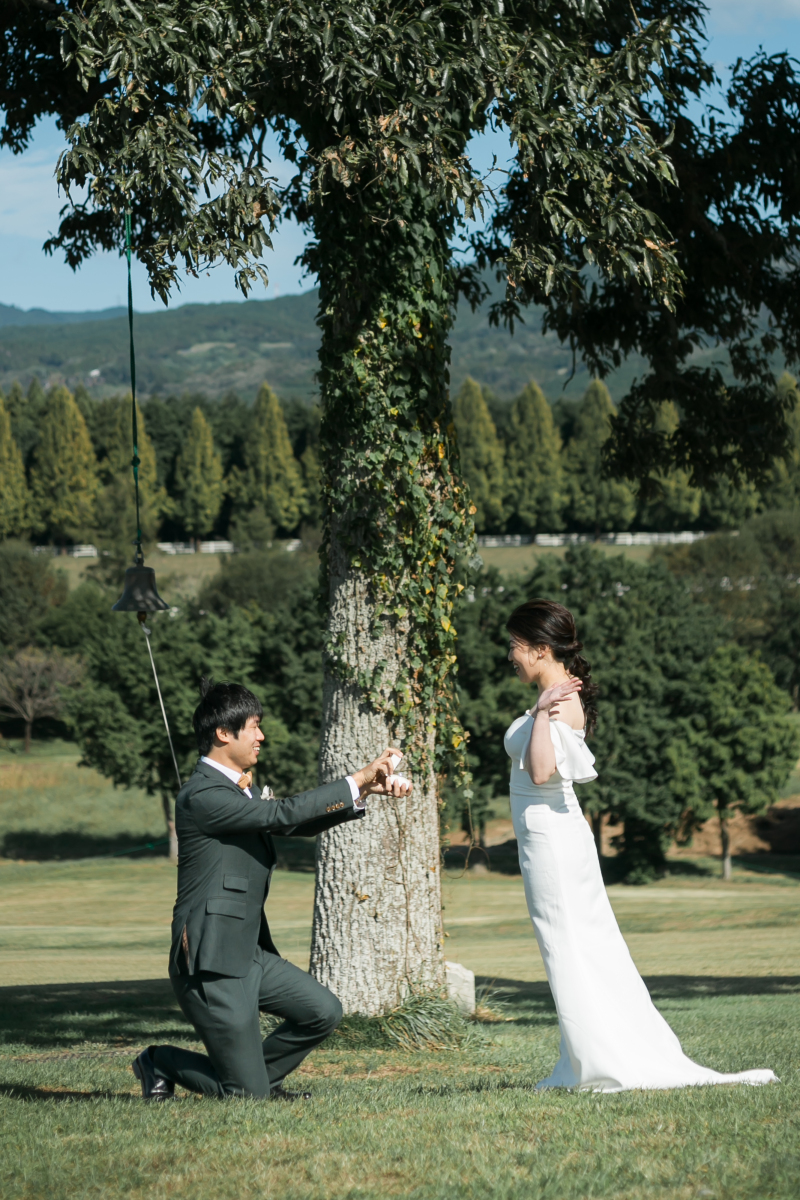 こんな一枚も！