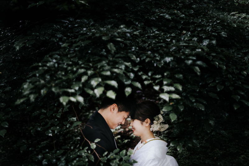 こんなに幻想的なショットも