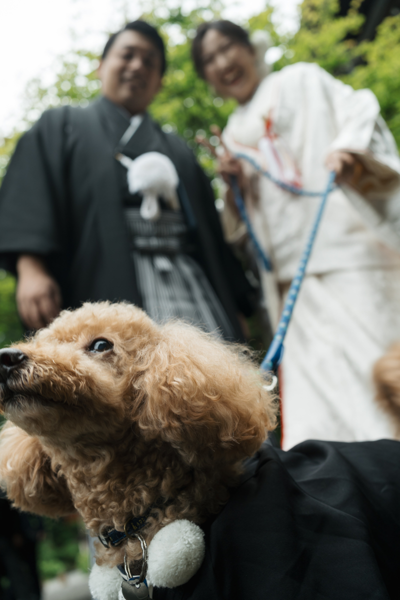 とってもいい子でした！