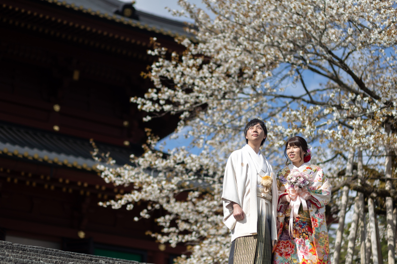 樹齢400年！三仏堂の「金剛桜」でも撮影OK！