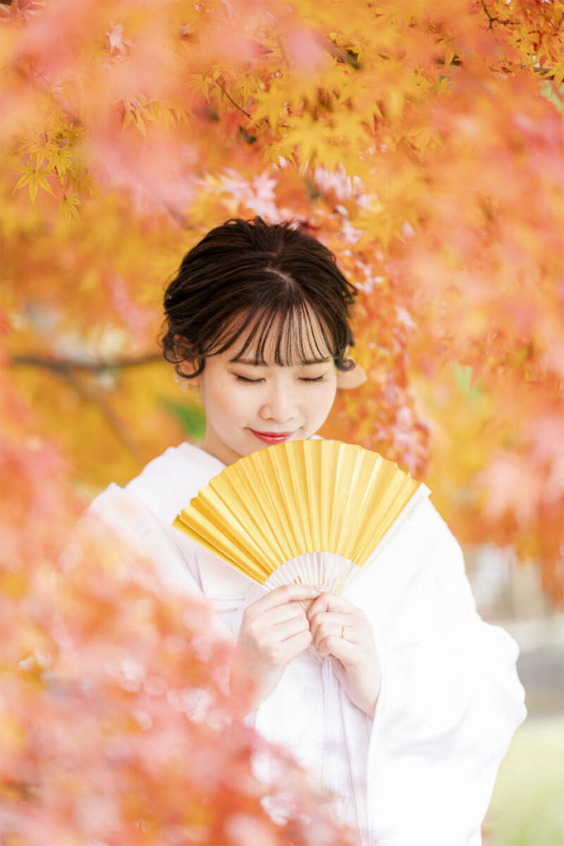 はんなりソロショット♪