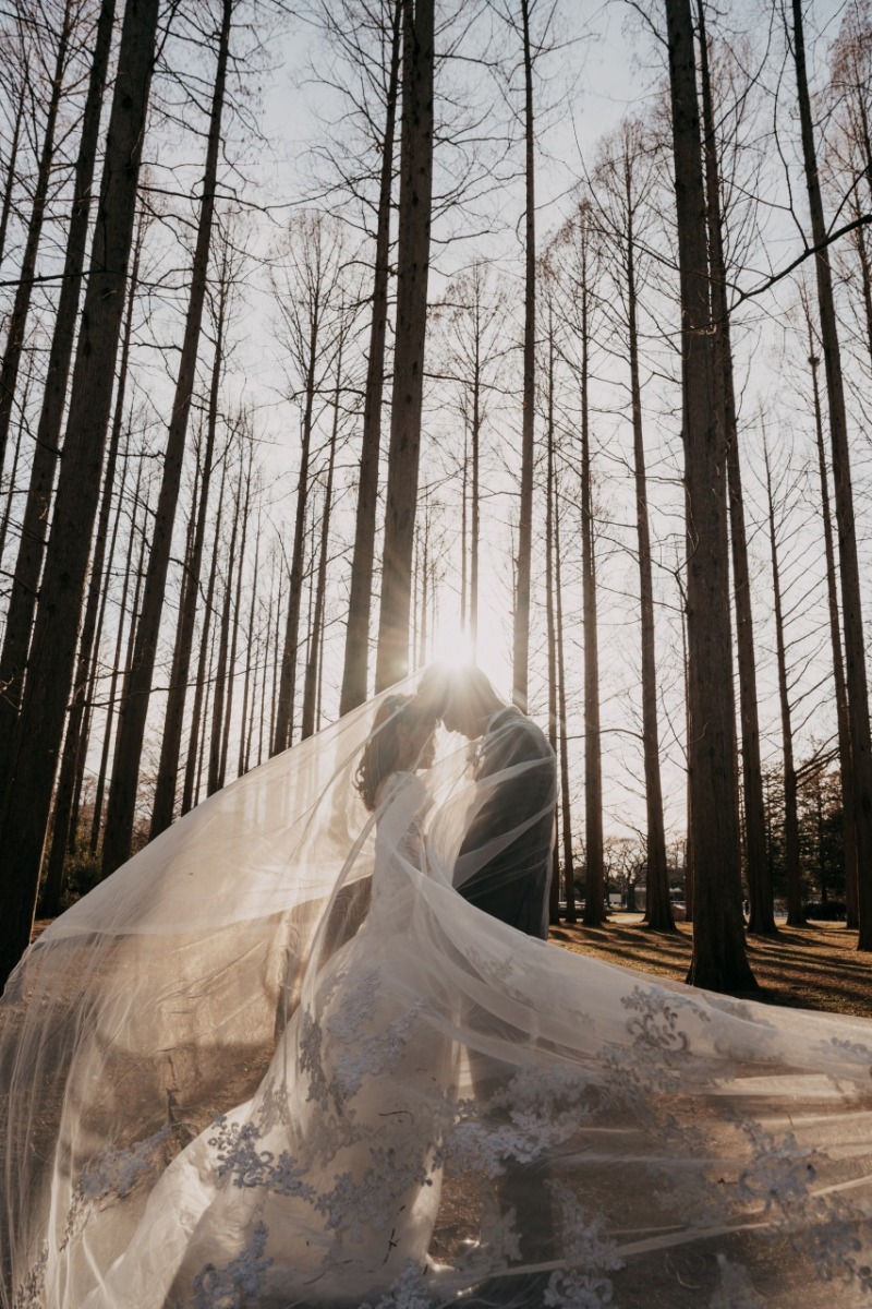 ベールで幻想的に！