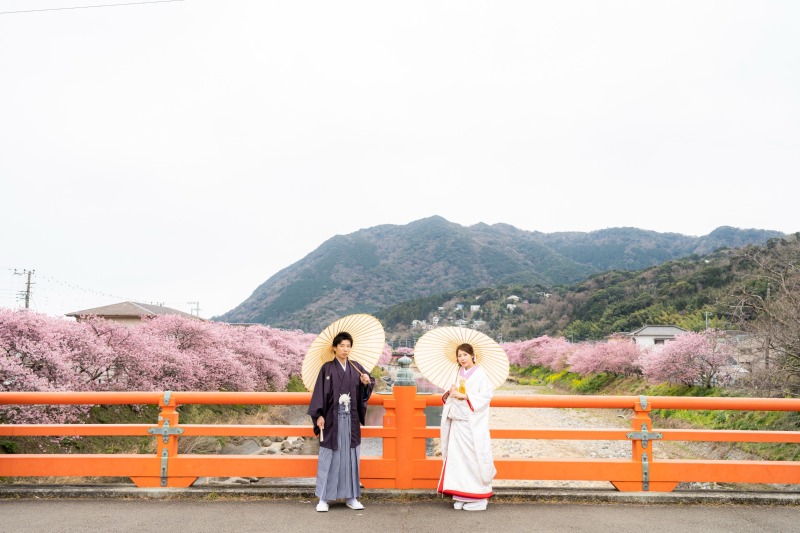 河津桜と山を見渡す橋の上で