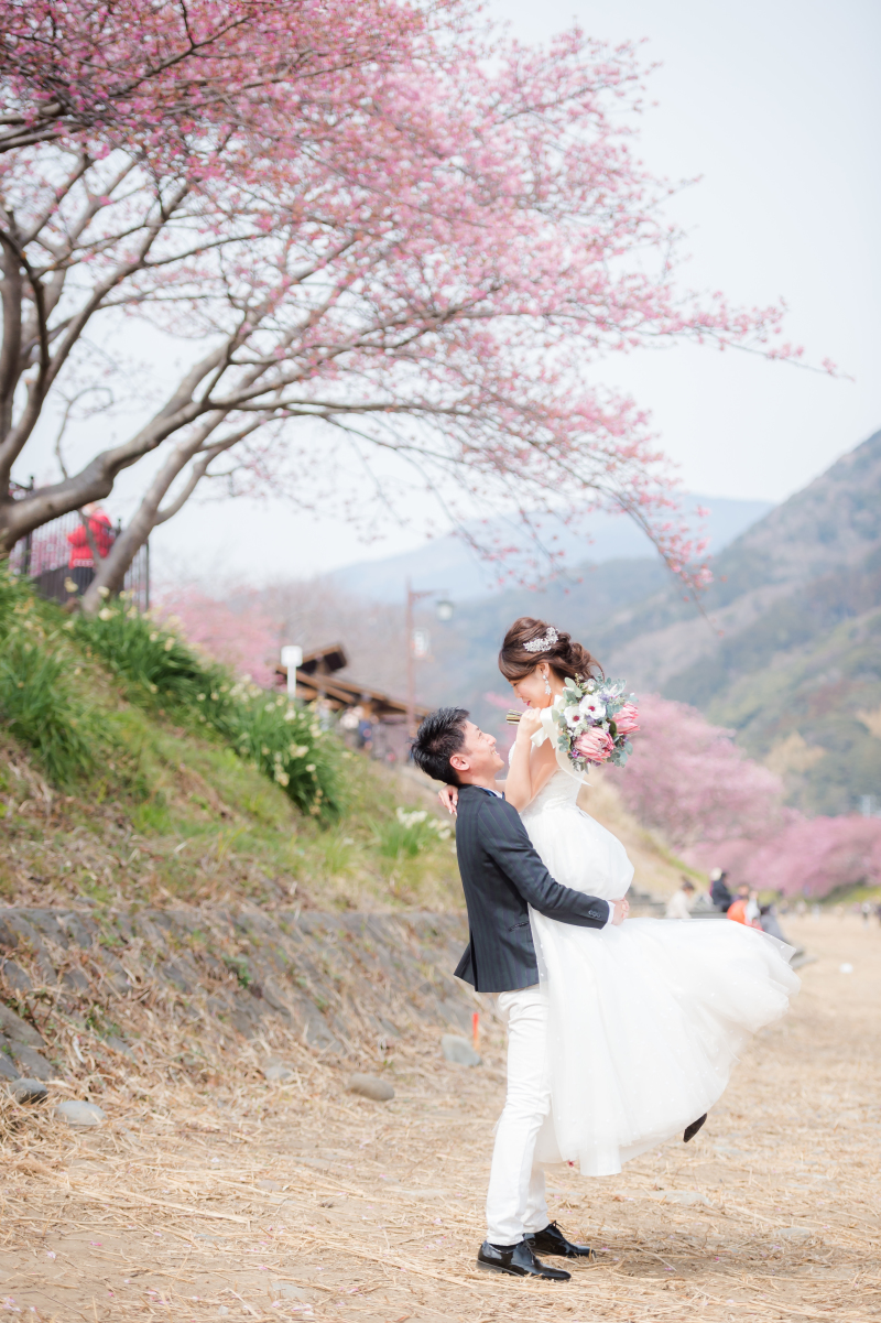 濃いピンクに輝く河津桜☆