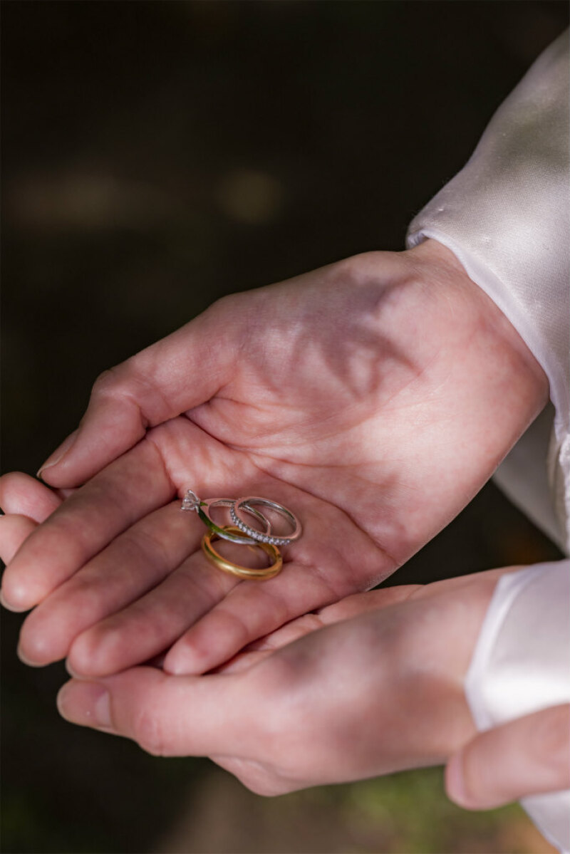 木陰で指輪とお小物ショットを