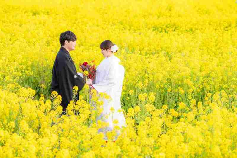 一面の菜の花が彩る春の和装姿