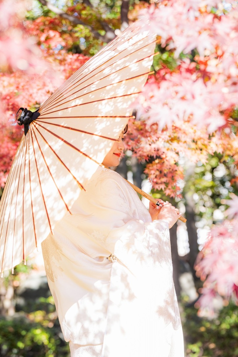 秋晴れの中紅葉が満開★