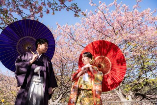 【河津桜プラン】河津桜が彩る春の景色で残す和装ウェディングフォト