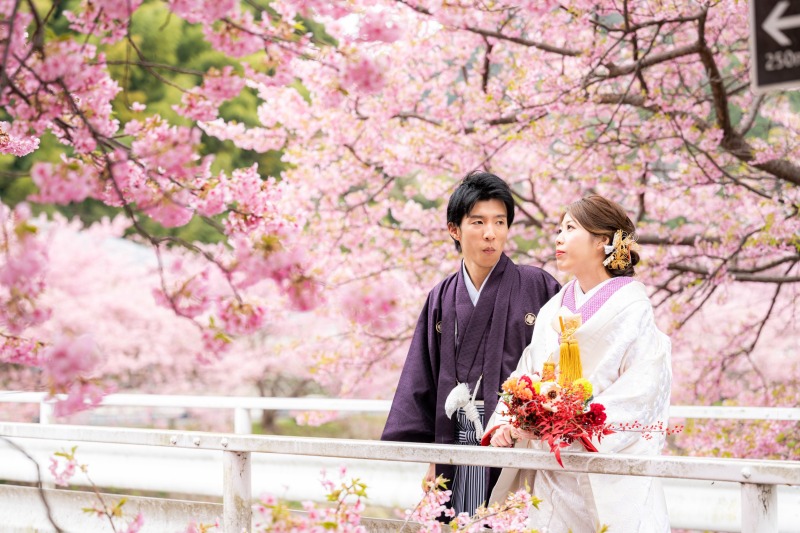 桜を眺めながら