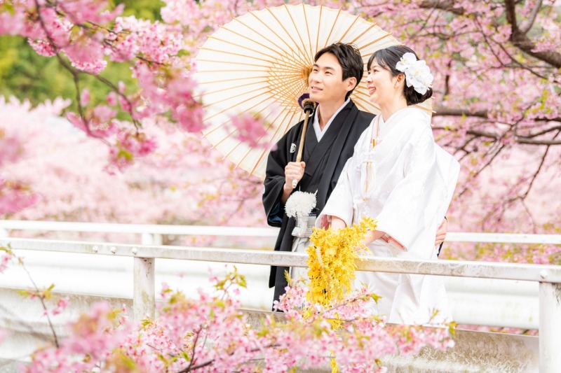 満開の桜と和装で前撮り♪