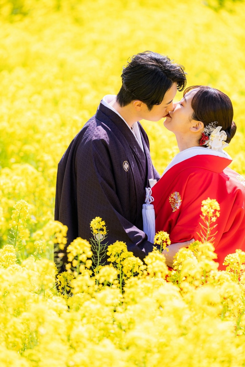 春を彩る菜の花と和装のやさしい時間