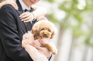 愛犬家のお二人とワンちゃんの東京駅前撮り☆